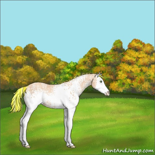 Horse Color:Painted White Spotted Gold Champagne Ice Splash 