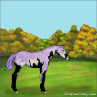 Horse Color:Watercolor Liver Chestnut Ice Splash