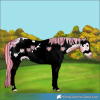 Horse Color:Painted White Spotted Palomino Ice Frame 