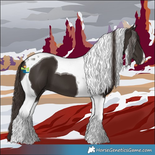 Horse Color:Liver Chestnut Tobiano 