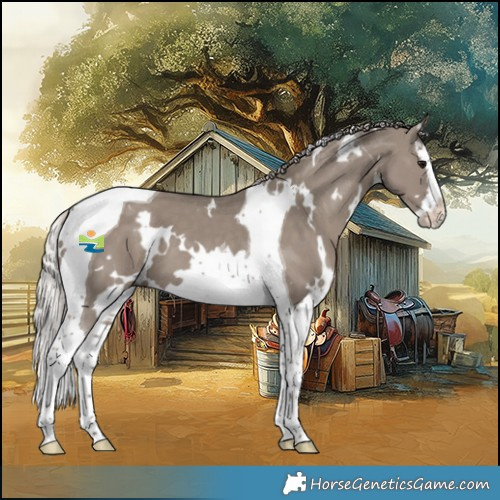 Horse Color:White Spotted Silver Grullo Splash Tobiano 