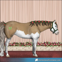 Horse Color:Classic Cream Champagne Splash 