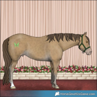 Horse Color:Classic Cream Champagne 