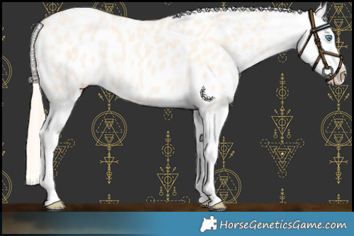 Horse Color:Perlino Dun Tobiano Appaloosa 