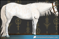 Horse Color:Perlino Dun Tobiano Appaloosa