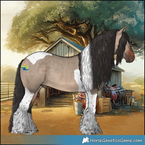 Horse Color:Bay Dun Tobiano Rabicano 