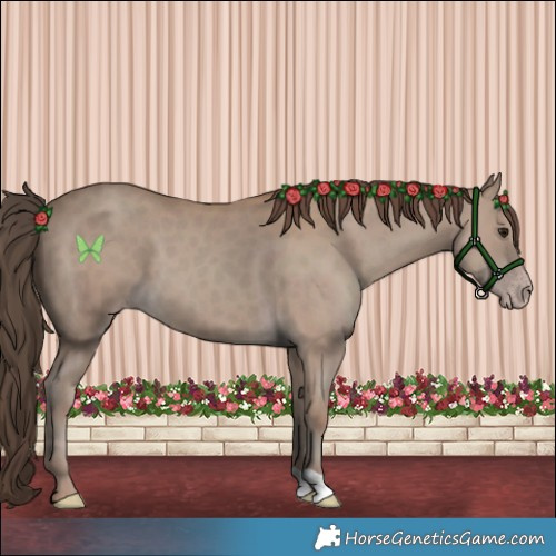Horse Color:Classic Champagne