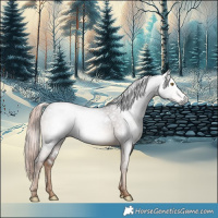 Horse Color:Gray White Spotted Liver Chestnut