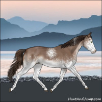 Horse Color:White Spotted Liver Red Dun Tobiano 