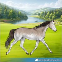 Horse Color:White Spotted Liver Red Dun Tobiano 