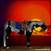 Horse Color:Black Splash Tobiano