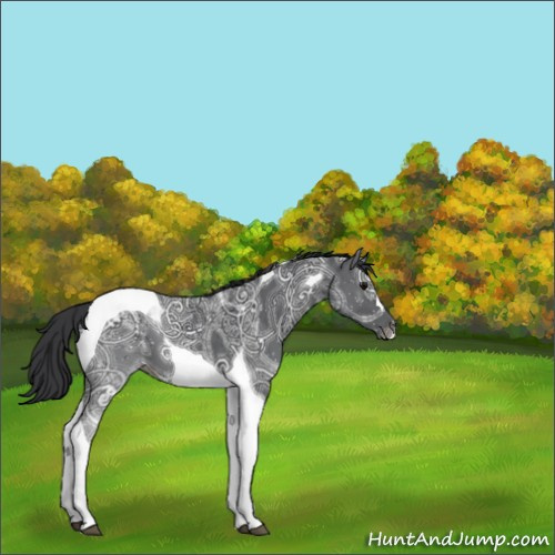 Horse Color:Black Ice Tobiano 