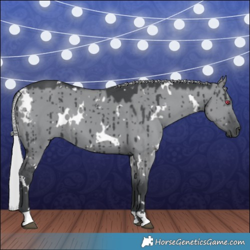 Horse Color:White Spotted Silver Grullo Chinchilla Brindle 
