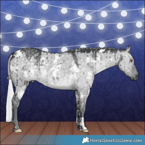 Horse Color:White Spotted Silver Grullo Chinchilla Brindle 