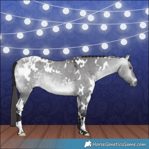 Horse Color:White Spotted Buckskin Chinchilla Dun 