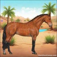Horse Color:Bay  and Bay 