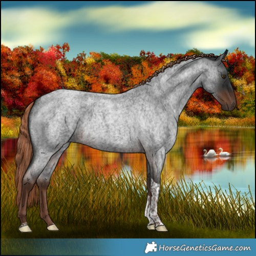 Horse Color:Liver Red Roan Tobiano 