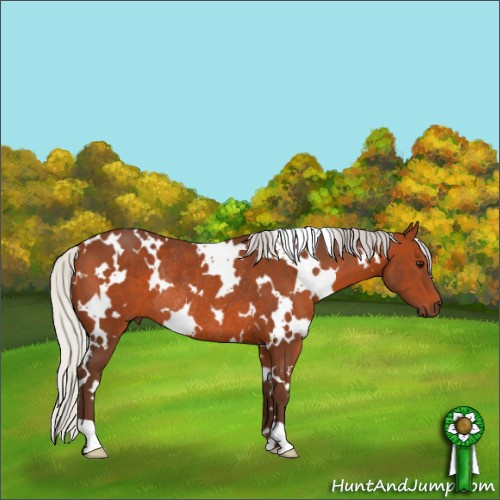 Horse Color:White Spotted Silver Brown Rabicano 