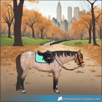 Horse Color:Bay Roan Appaloosa 