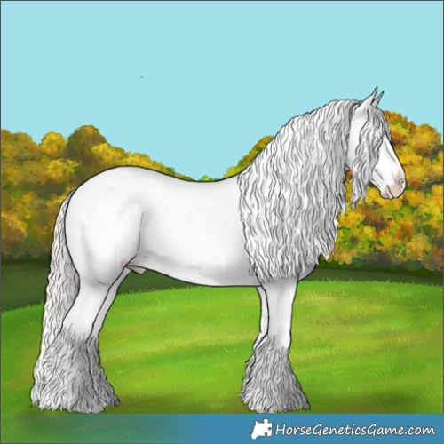 Horse Color:Silver Bay Dun Appaloosa 