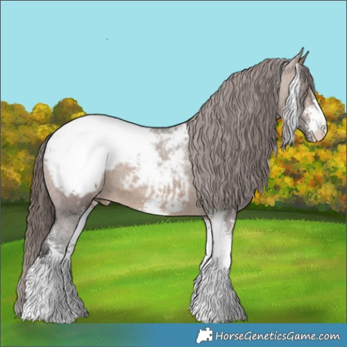 Horse Color:Brown Dun Sabino Appaloosa 