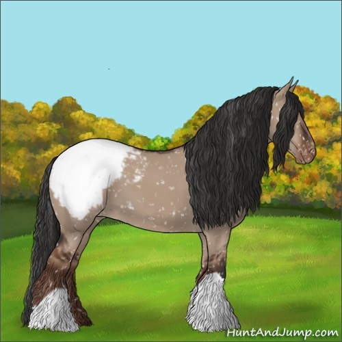 Horse Color:Liver Red Dun Appaloosa