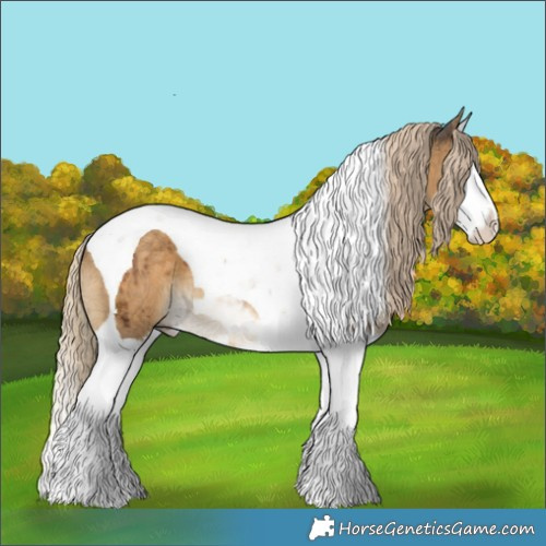 Horse Color:Chocolate Palomino Ice Dun Splash Tobiano Brindle 
