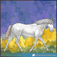 Horse Color:Perlino Dun Splash Tobiano Blanket 