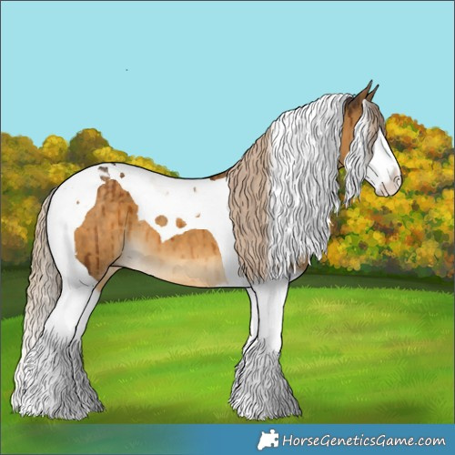 Horse Color:Chocolate Palomino Dun Splash Tobiano Brindle 