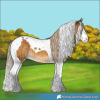 Horse Color:Chocolate Palomino Dun Splash Tobiano Brindle 