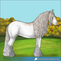 Horse Color:Chocolate Palomino Dun Splash Snowcap Rabicano 