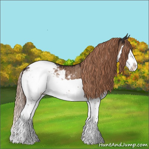 Horse Color:Liver Red Dun Splash Appaloosa Rabicano Brindle