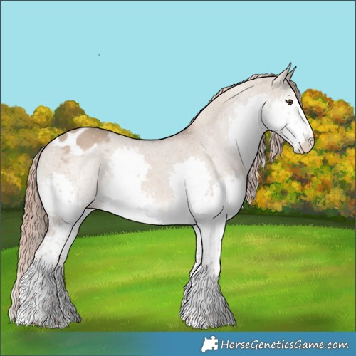 Horse Color:Liver Red Dun Sabino Splash Appaloosa 