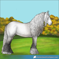 Horse Color:Gray Silver Smoky Grullo Tobiano Rabicano 