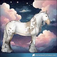 Horse Color:Silver Smoky Grullo Tobiano Appaloosa and Gray Silver Buckskin Dun Tobiano