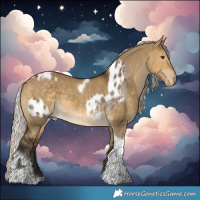 Horse Color:Silver Smoky Grullo Tobiano Appaloosa  and Gray Silver Buckskin Dun Tobiano 