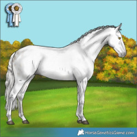 Horse Color:Gray Silver Buckskin Dun Tobiano Blanket 