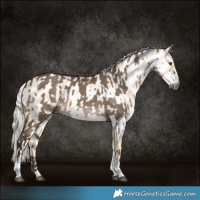 Horse Color:Gray Silver Grullo Tobiano and Silver Smoky Grullo Pearl Tobiano Near Leopard