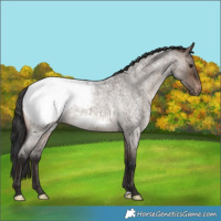 Horse Color:Brown Roan Dun Snowcap 