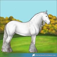 Horse Color:Gray White Spotted Liver Red Dun Tobiano  and Gray Liver Red Dun Roan Tobiano Varnish 