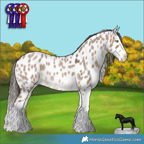 Horse Color:Liver Red Dun Roan Splash Appaloosa 