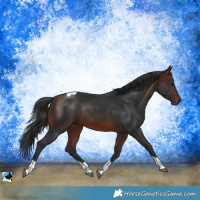 Horse Color:Brown Tobiano Rabicano