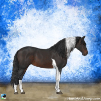 Horse Color:Brown Tobiano