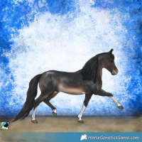 Horse Color:Brown Sabino Tobiano Rabicano 