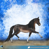 Horse Color:Brown Sabino Tobiano Rabicano 