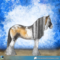 Horse Color:Buckskin Onyx Tobiano
