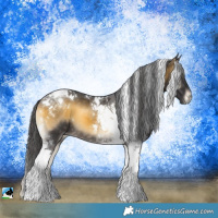 Horse Color:Buckskin Onyx Tobiano 