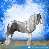 Horse Color:Brown Sabino Tobiano Rabicano 