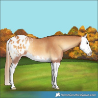 Horse Color:Red Onyx Splash Blanket
