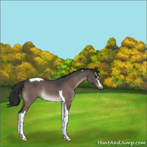 Horse Color:Platinum White Spotted Brown Tobiano Rabicano 